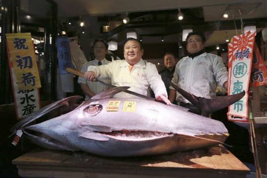 Bỏ hơn 14 tỷ đồng để mua cá ngừ nặng 212kg